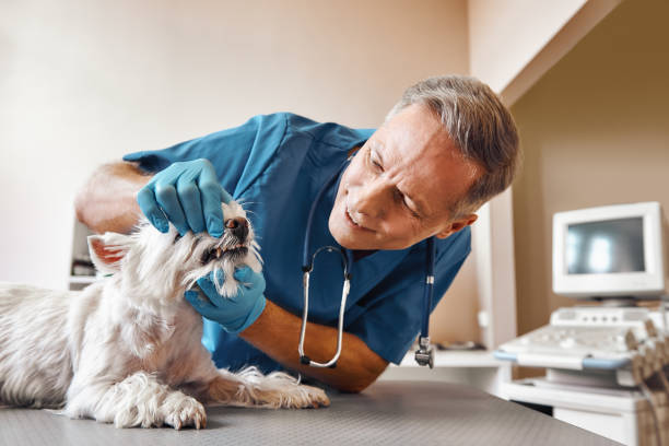 Best Weekend Emergency Dentist in Gramercy, LA